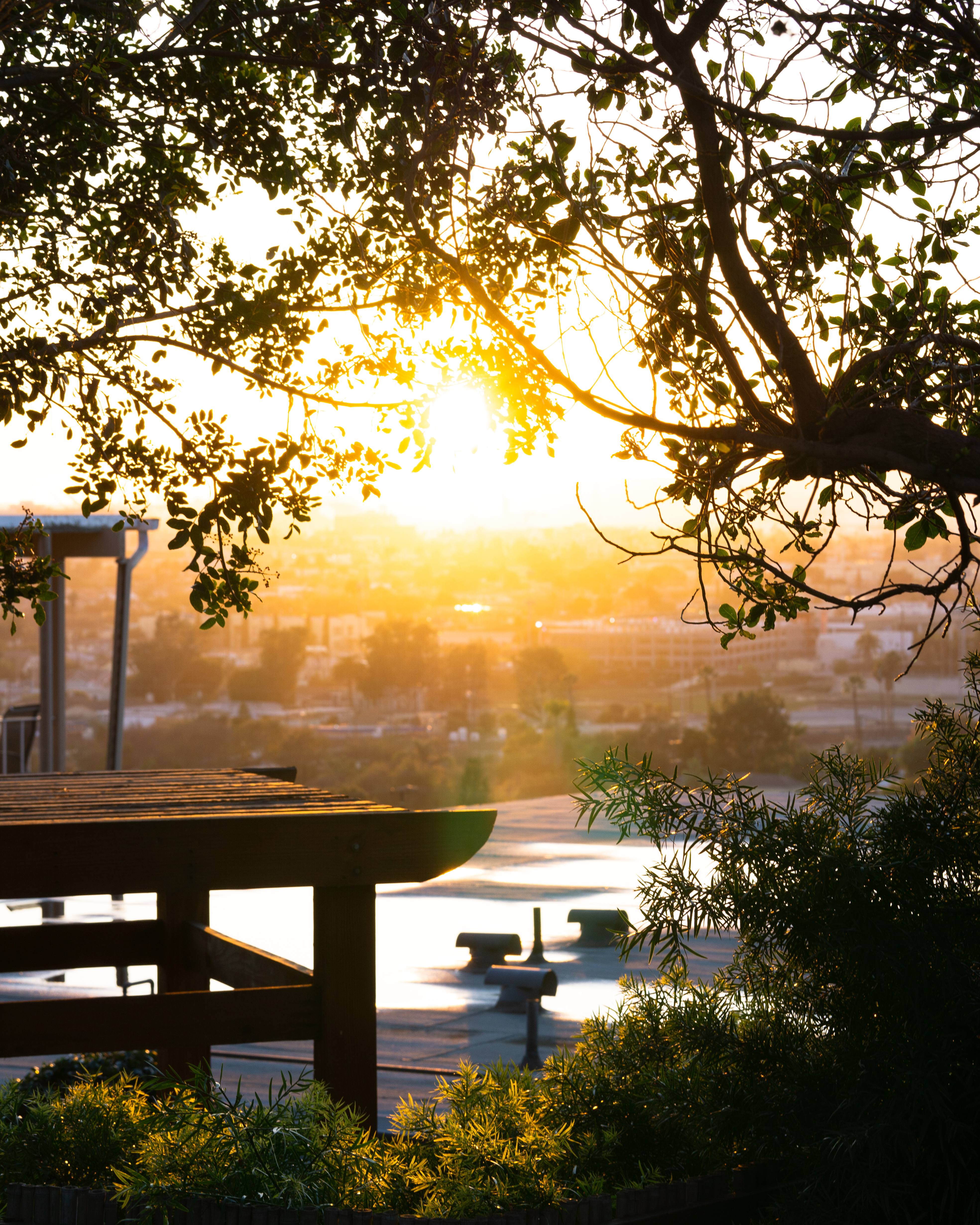 A golden sunset.